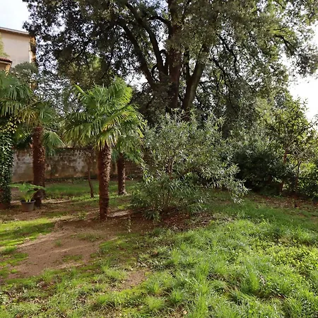 Apartment With Wifi - 21879 *